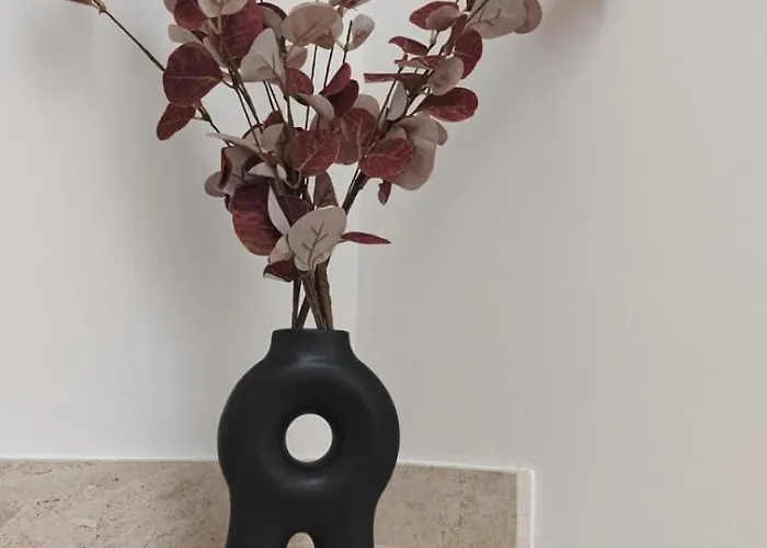 La Nicaredda 公寓 *